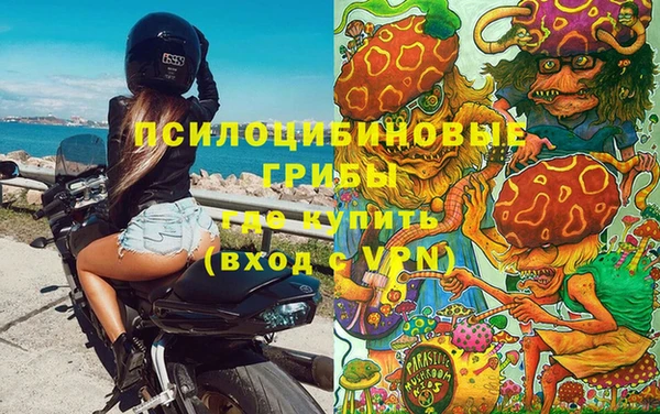 герыч Бронницы