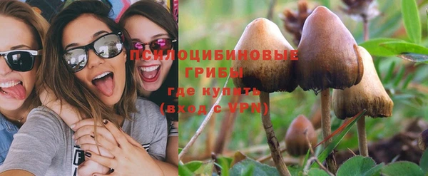 герыч Бронницы