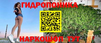 ECSTASY Чапаевск